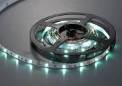 SMD 3528/5050 & 3535(Single color)