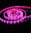 Waterproof LED Flexible Strip Lights