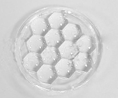 LED Lens